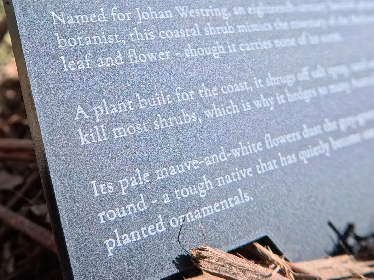 Lettering detail