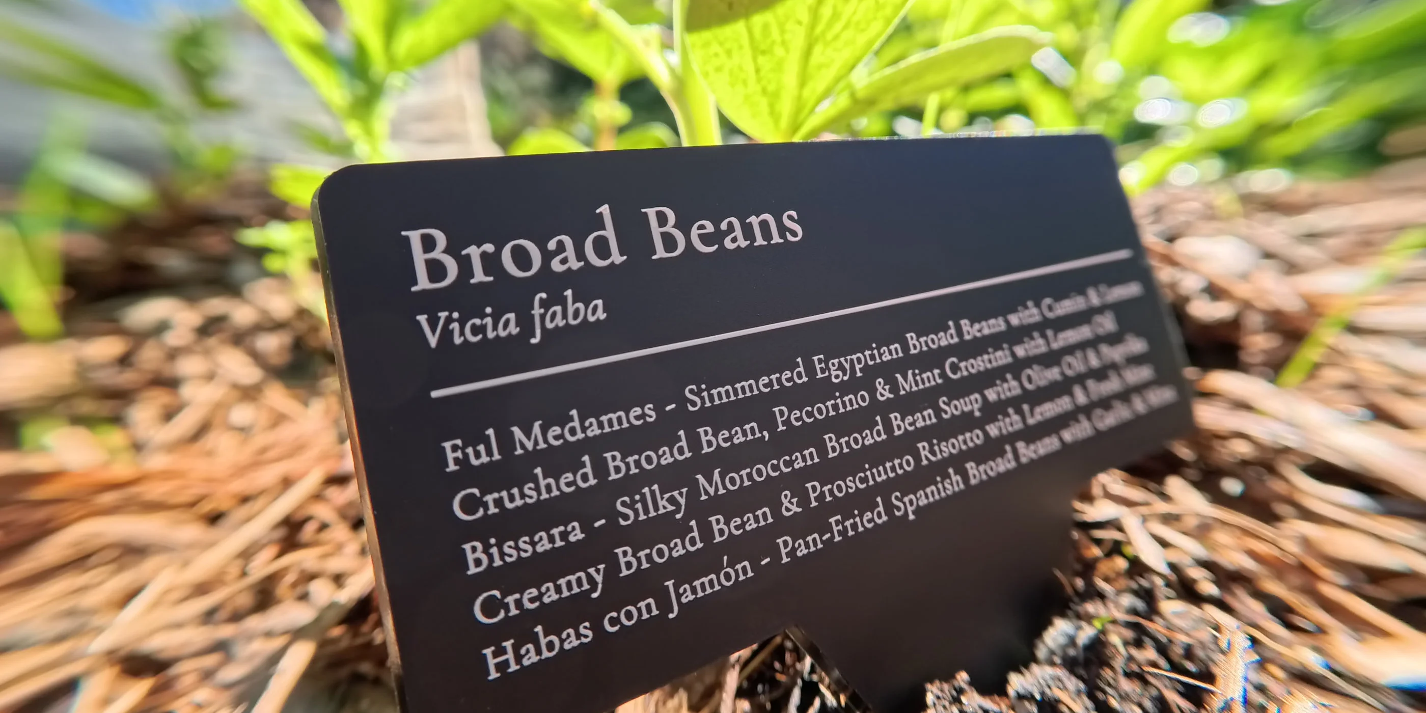 Photography — editorial hero: a real engraved sign in the garden at dusk