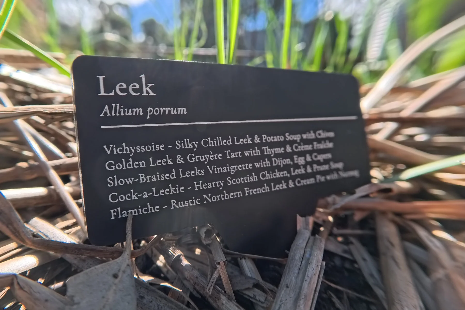 Photography — sign in a raised vegetable bed